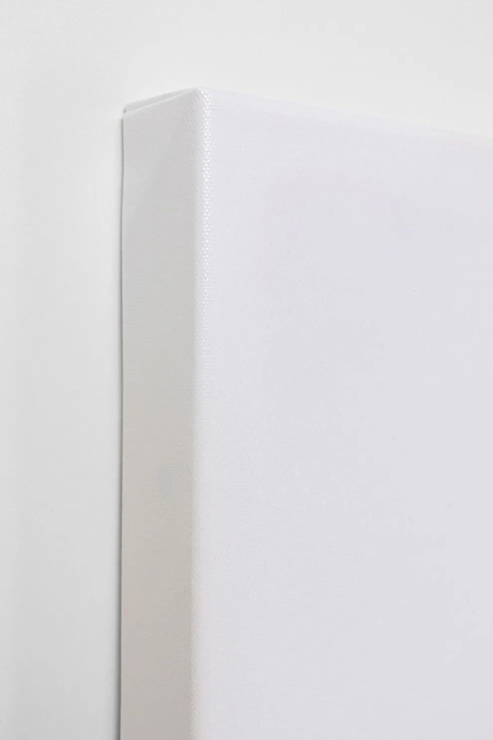 Canvas Headdress Dog 80x80cm