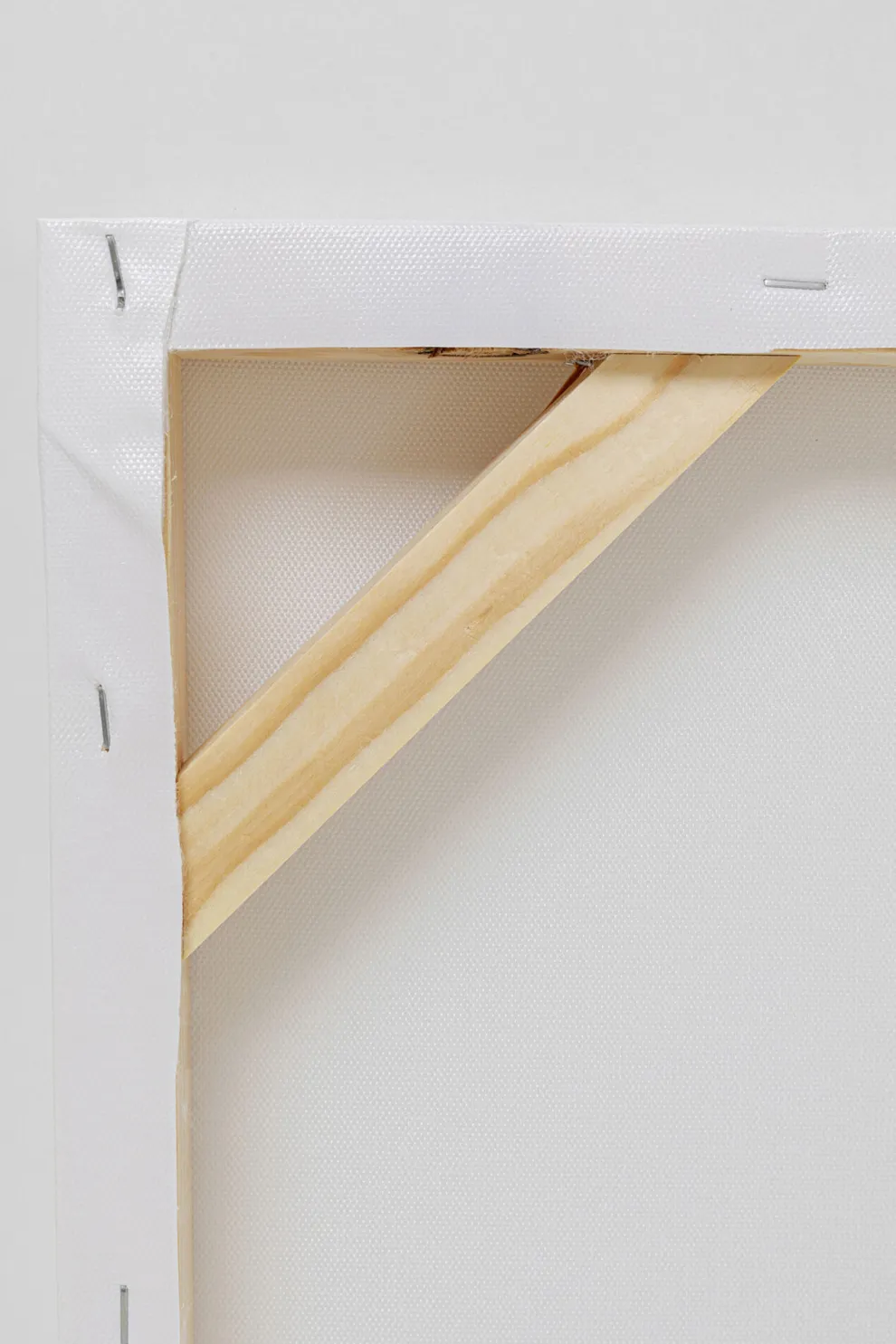 Canvas Headdress Dog 80x80cm