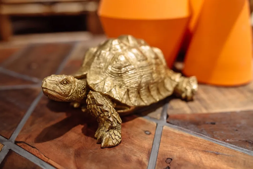 Decofiguur Schildpad Goud Klein