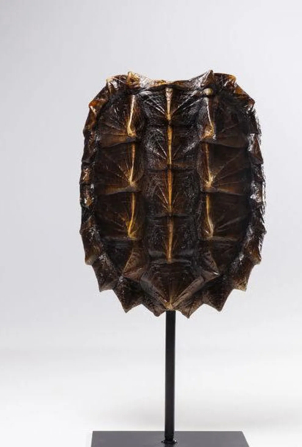 Decofiguur Schildpad 53cm