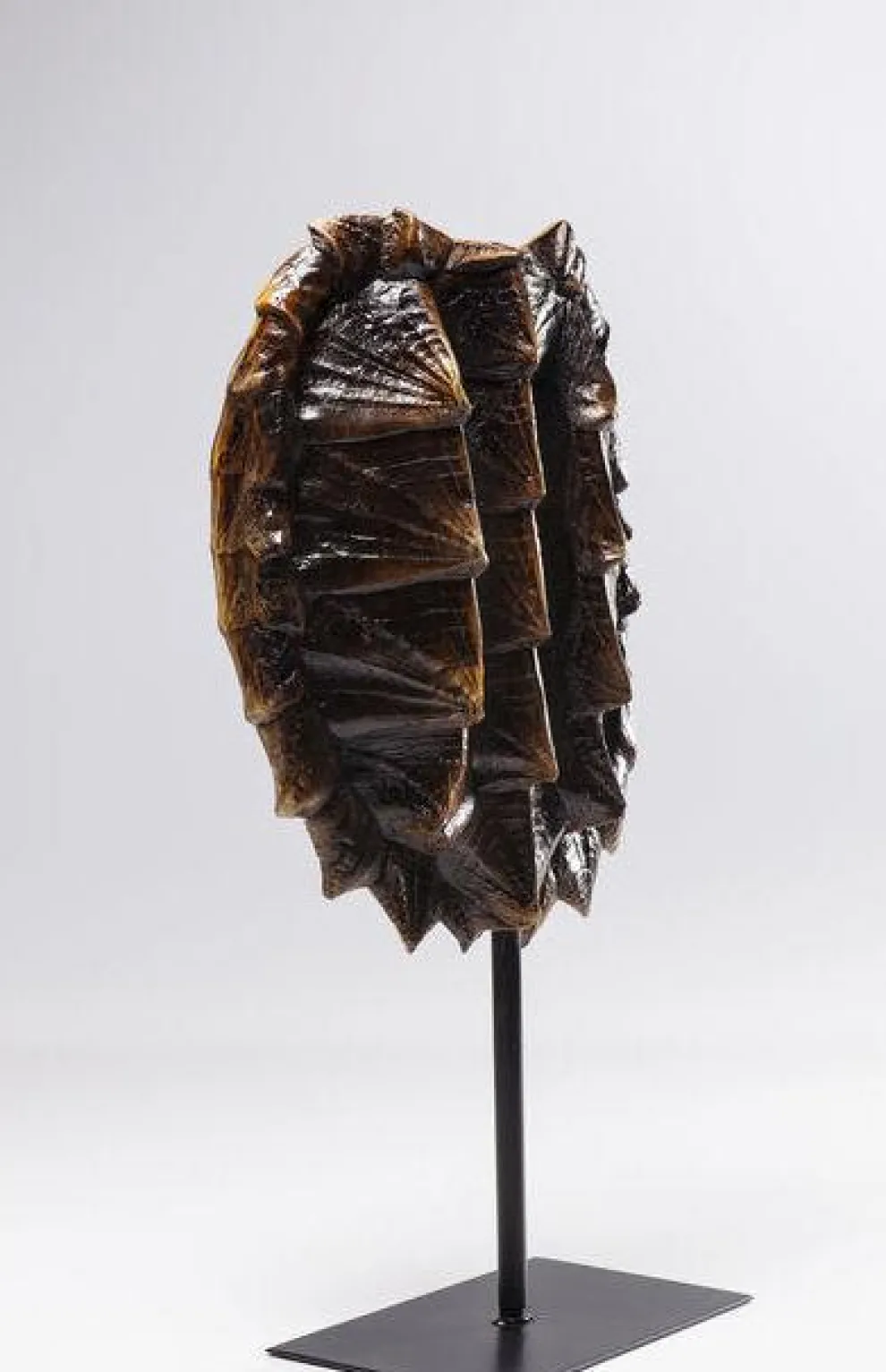 Decofiguur Schildpad 53cm