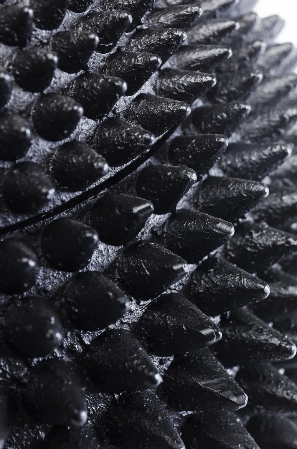 Decoratiepot Papegaai