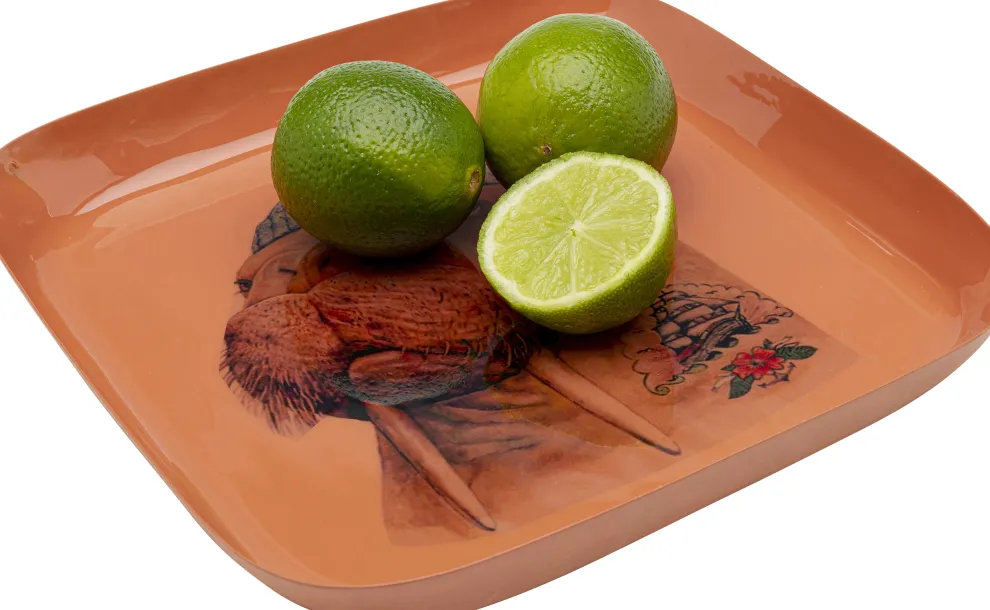 Dienblad Walrus 21x21cm