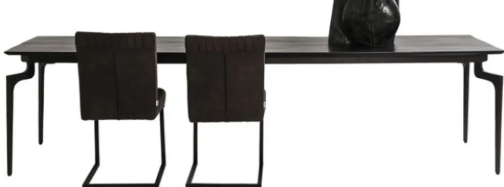 Eettafel Bug 300x110cm