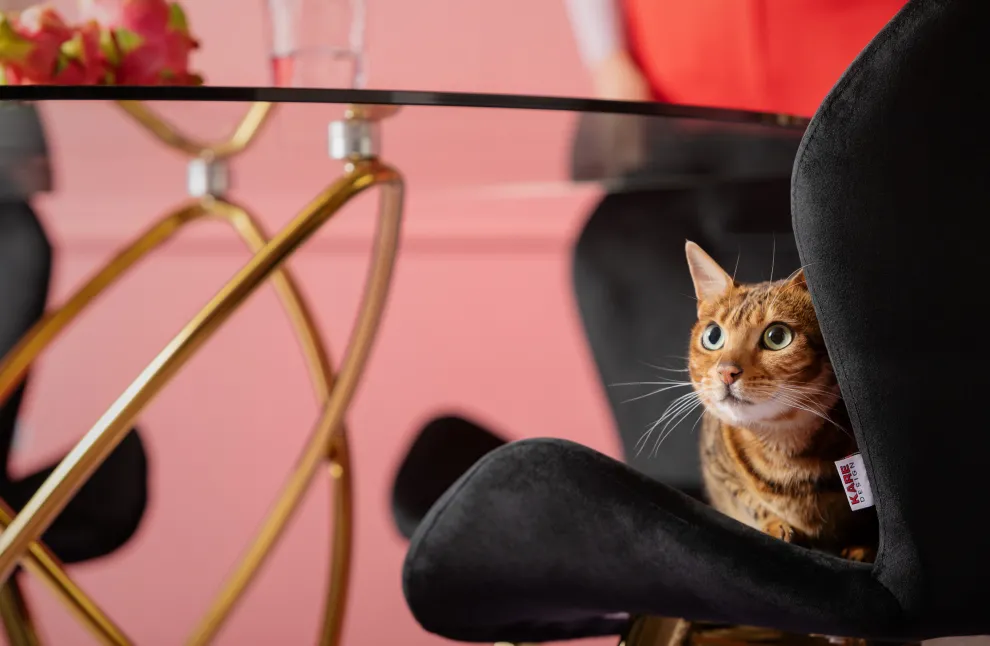 Eettafel Molekular Goud Ø120cm