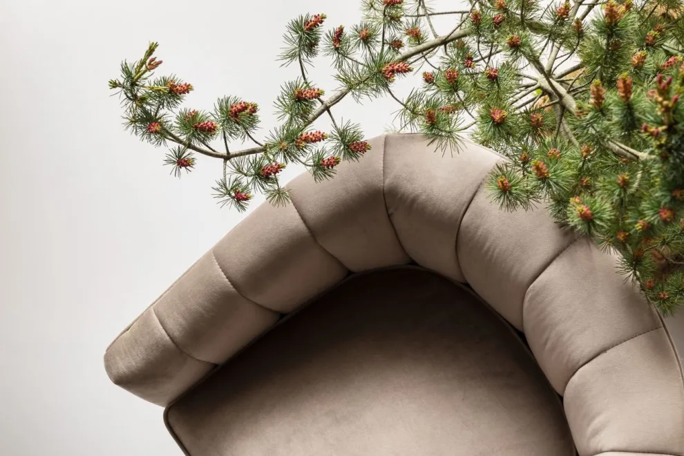 Fauteuil Pure Elegance Beige