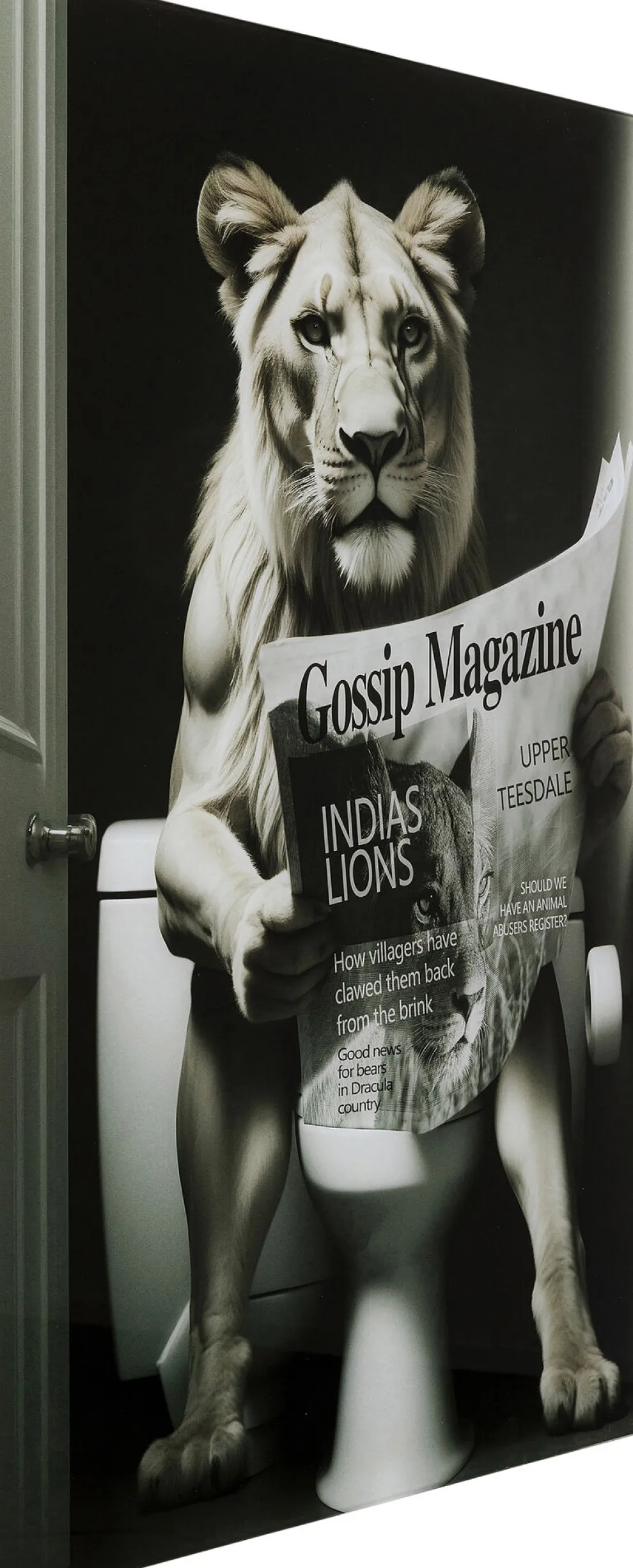 Glasschilderij Bath Lioness 60x80cm