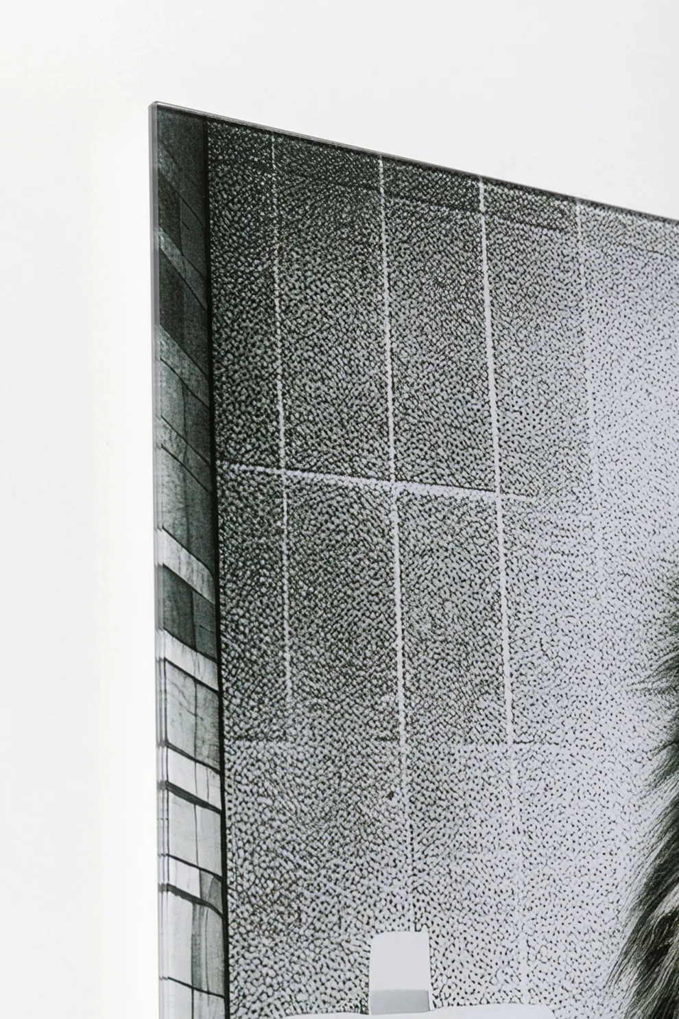 Glasschilderij Bath Lion 60x80cm