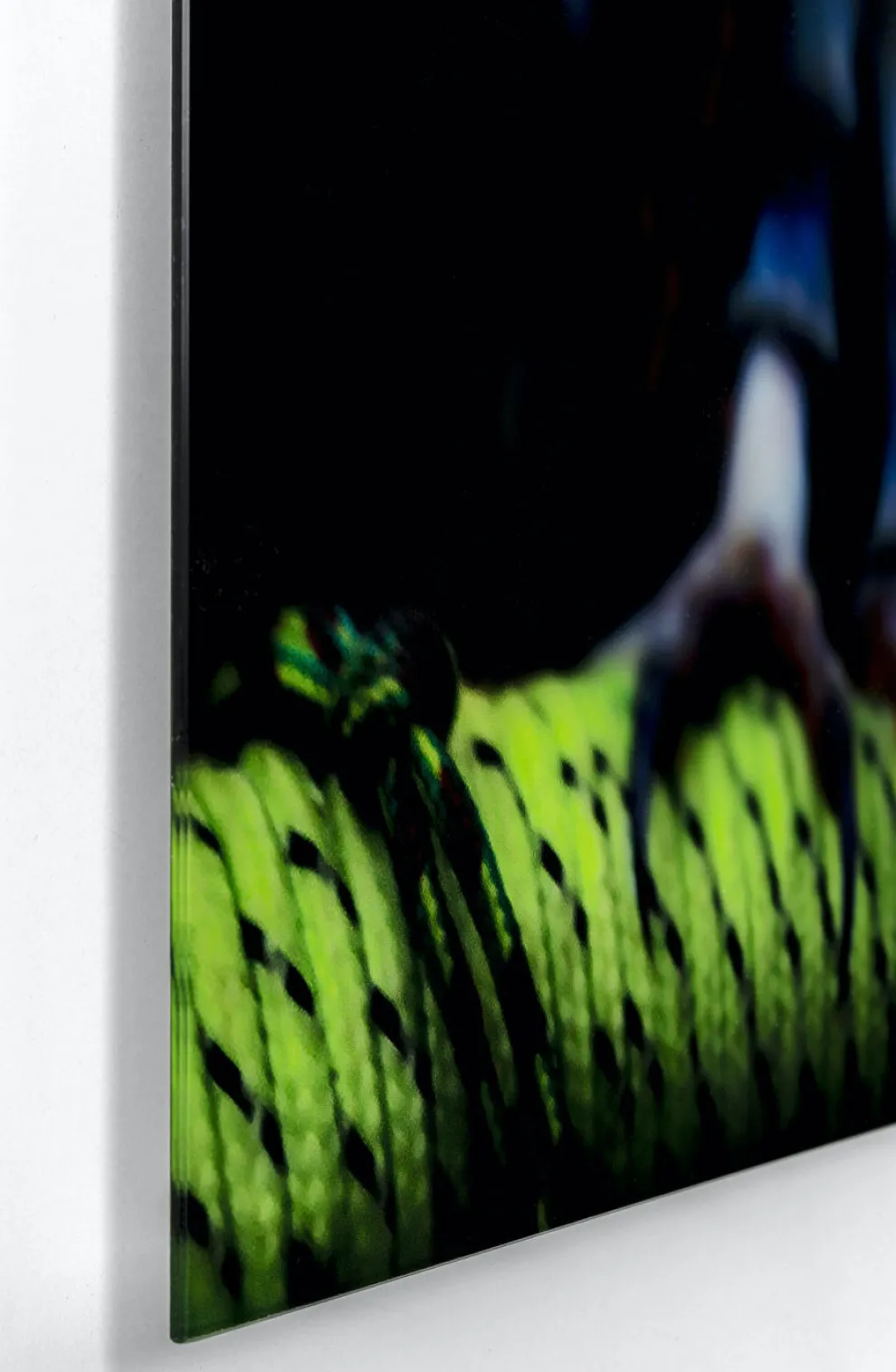 Glasschilderij Cute Owl 120x80cm