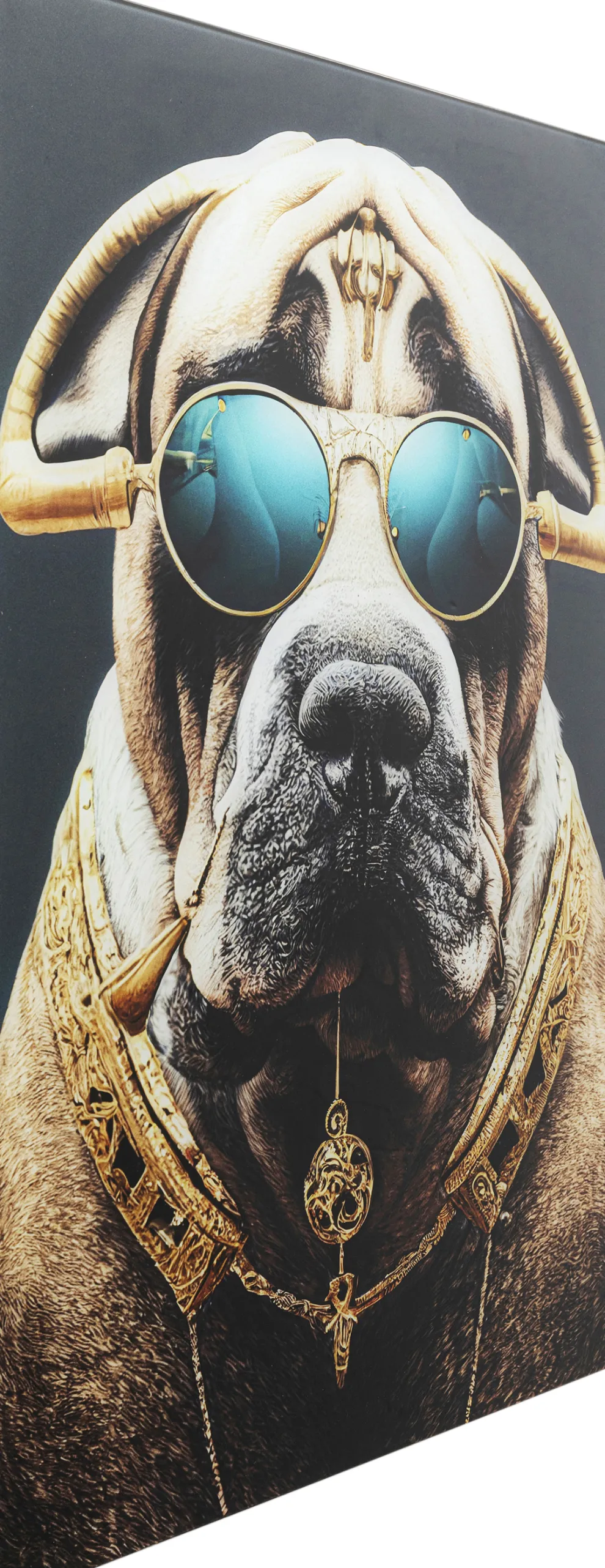 Glasschilderij Fashion Dog 60x80cm