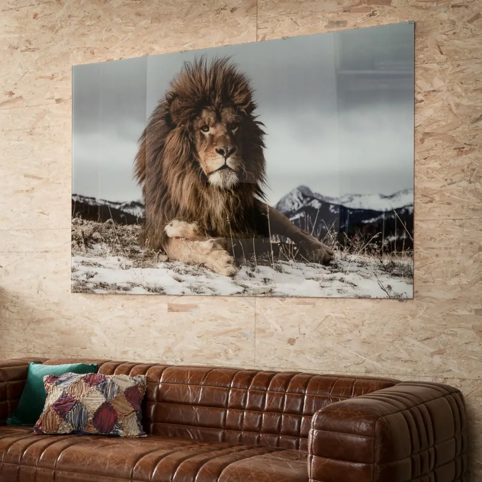Glasschilderij Proud Lion 180x120cm