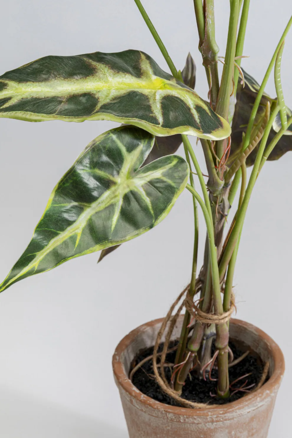 Kunstplant Alocasia 80cm
