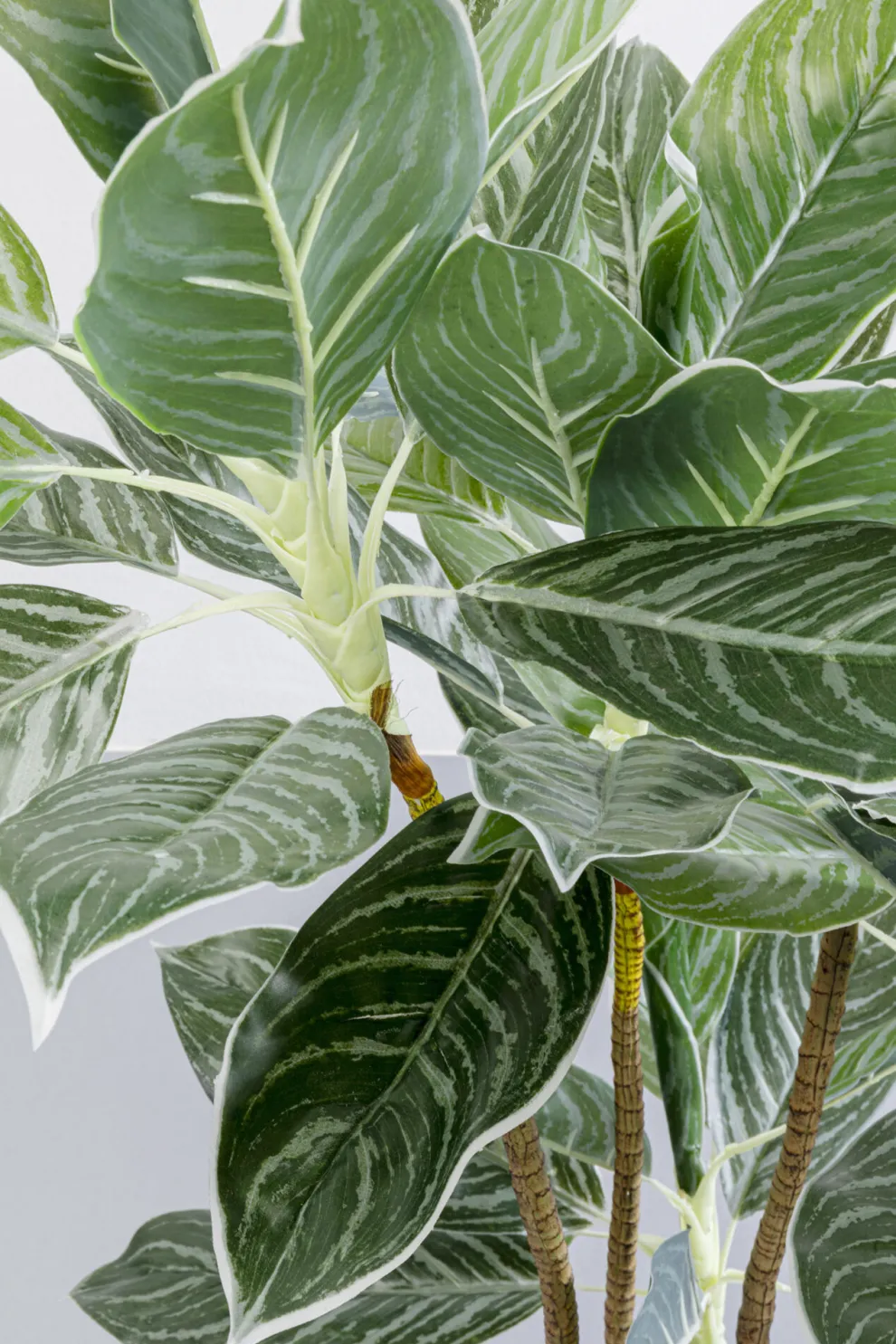 Kunstplant Calathea 140cm
