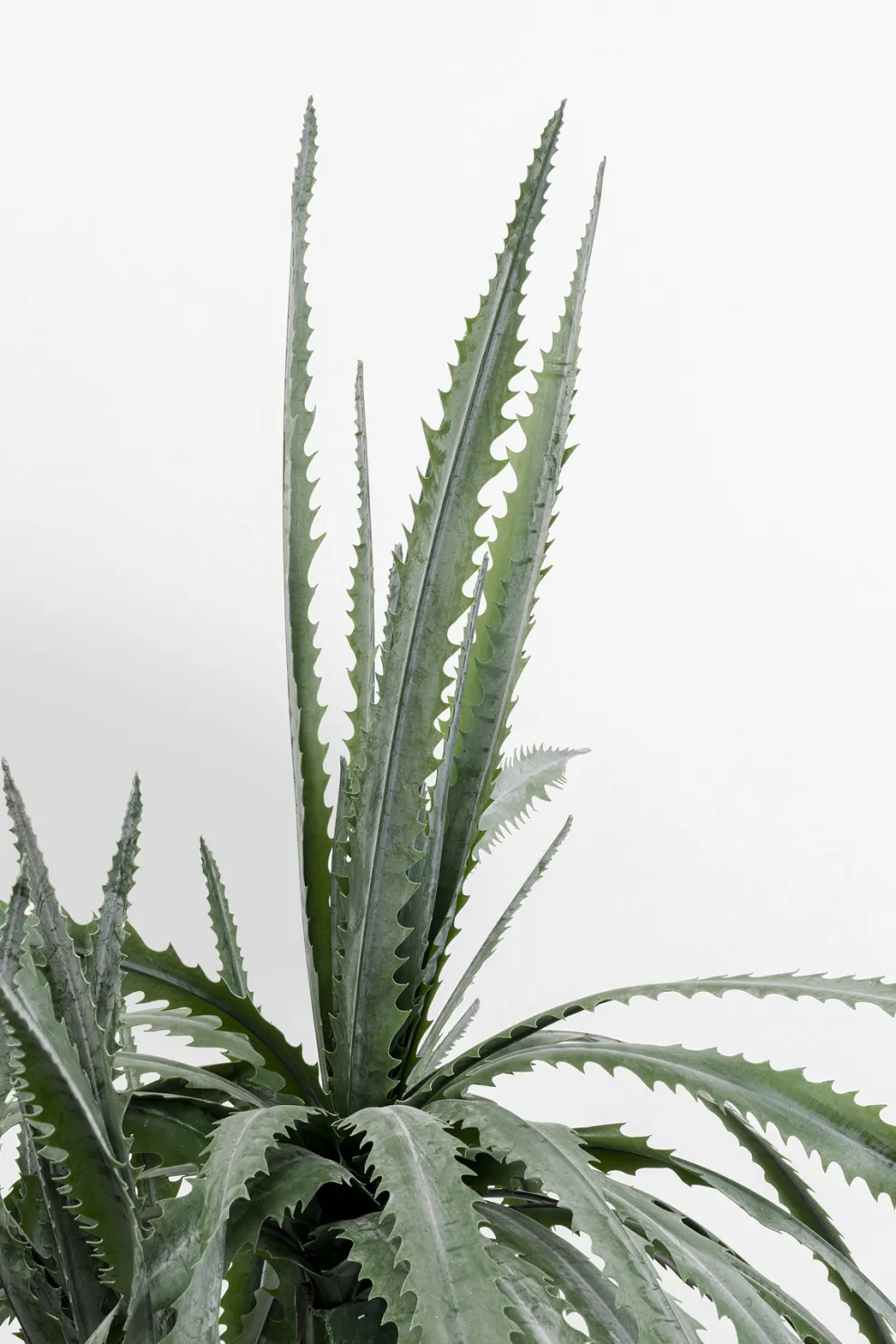 Kunstplant Dragon Tree 155cm