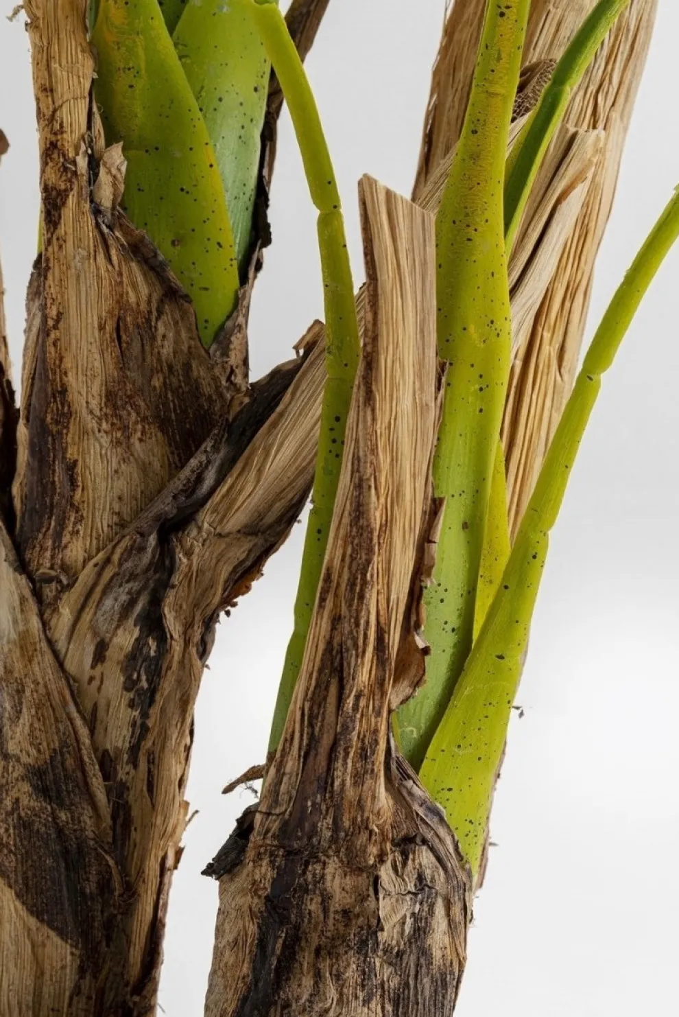 Kunstplant Palmboom 190cm