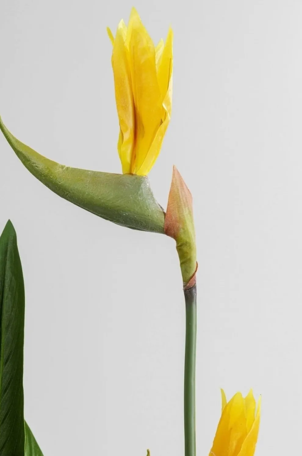 Kunstplant Paradise Flowers 190cm