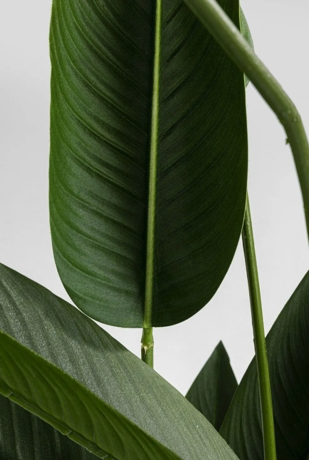 Kunstplant Paradise Flowers 190cm