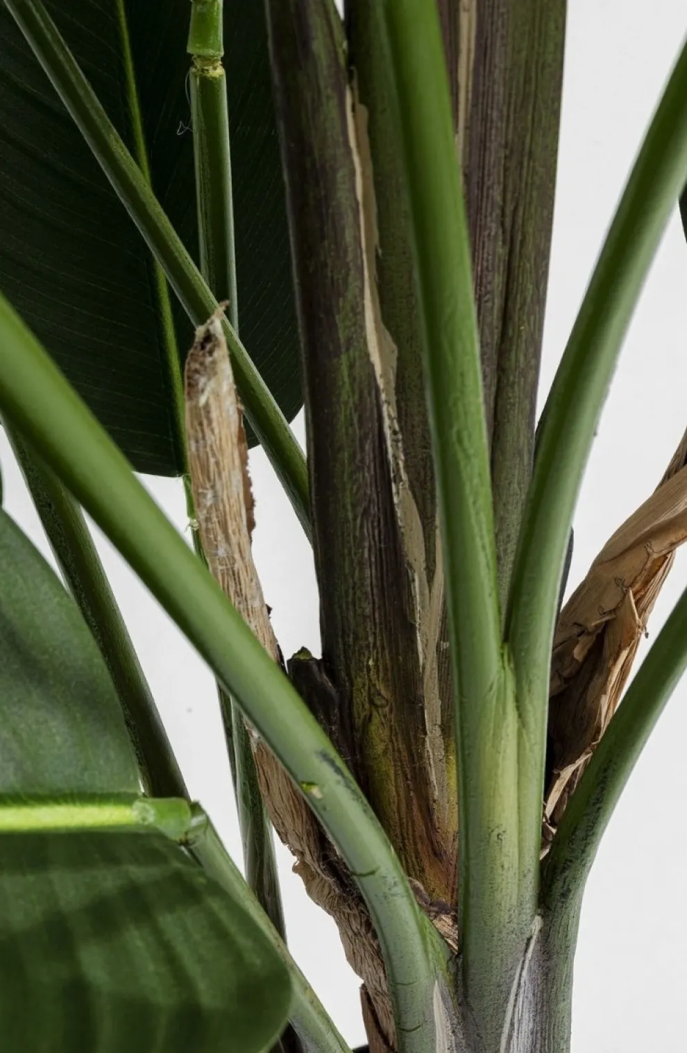 Kunstplant Paradise Flowers 190cm