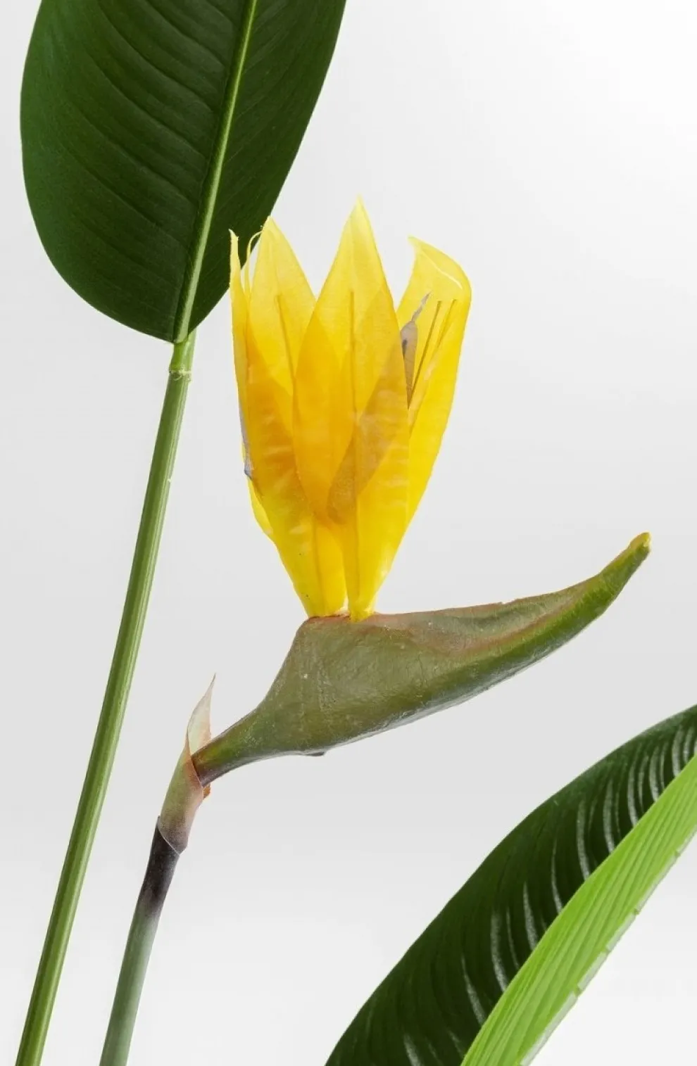 Kunstplant Paradise Flowers 190cm