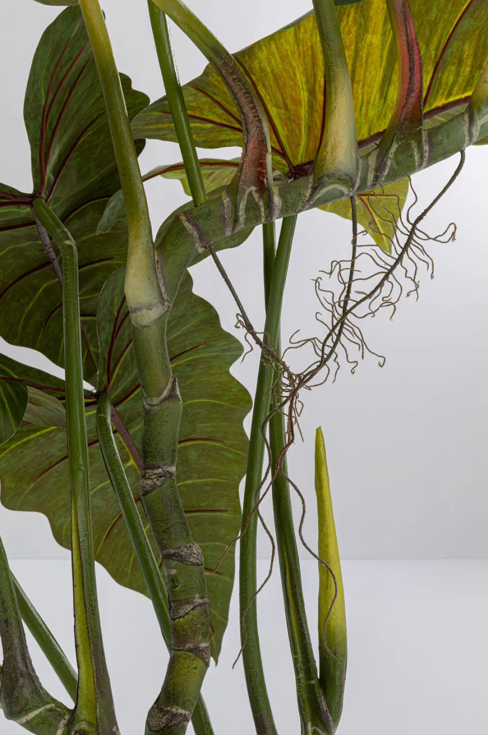 Kunstplant Taro 180cm