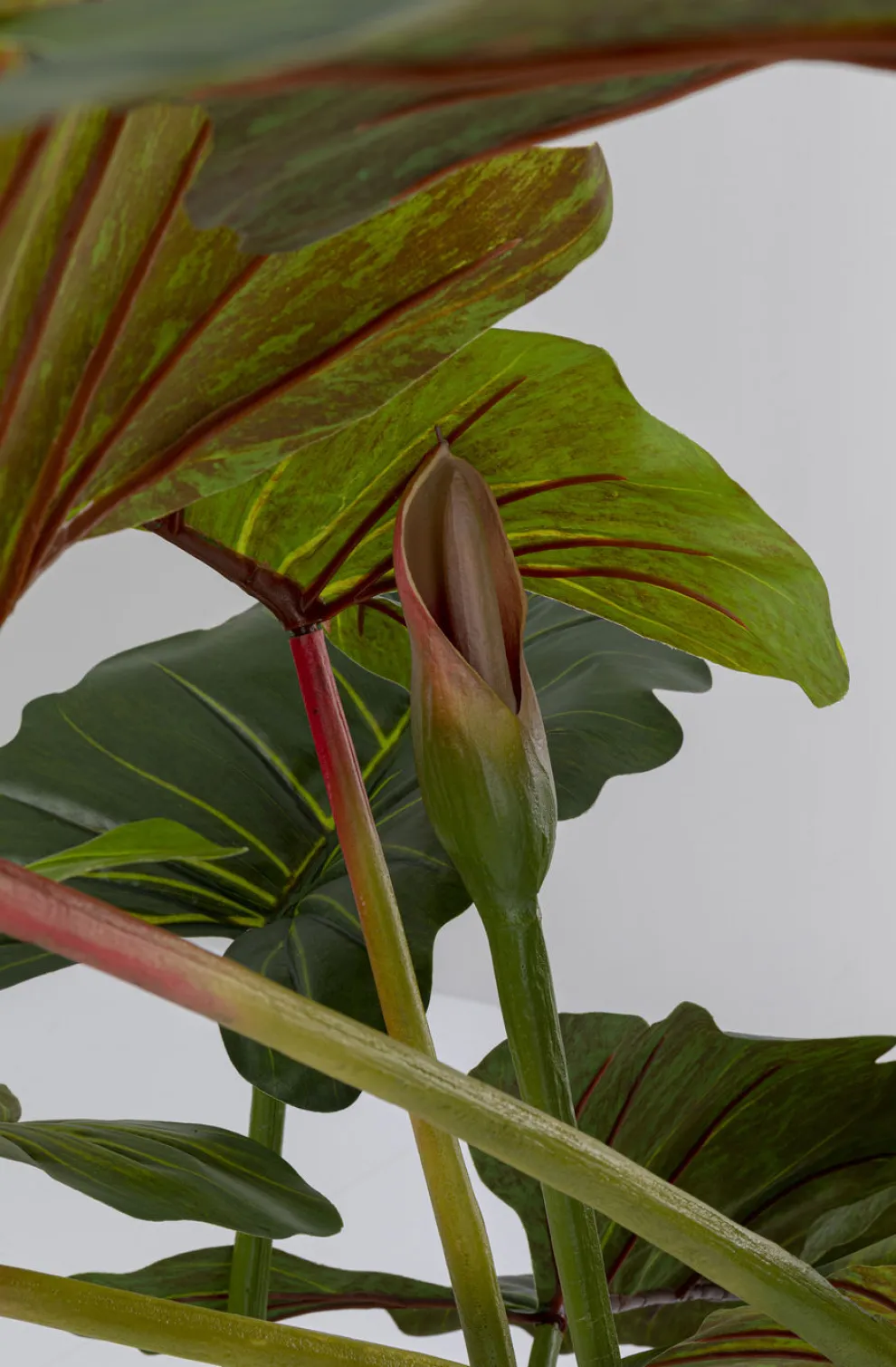 Kunstplant Taro 180cm