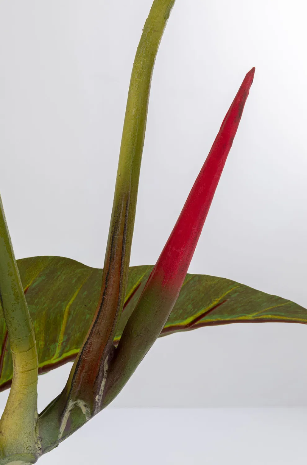 Kunstplant Taro 180cm