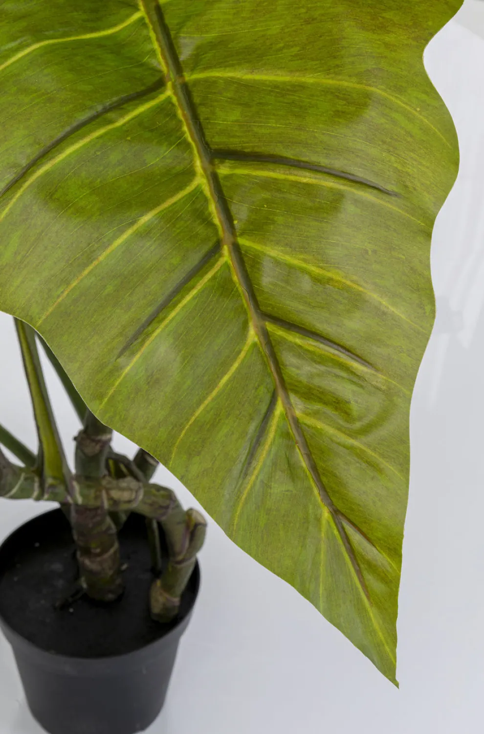 Kunstplant Taro 180cm