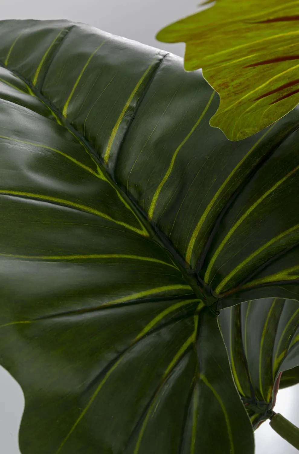 Kunstplant Taro 180cm