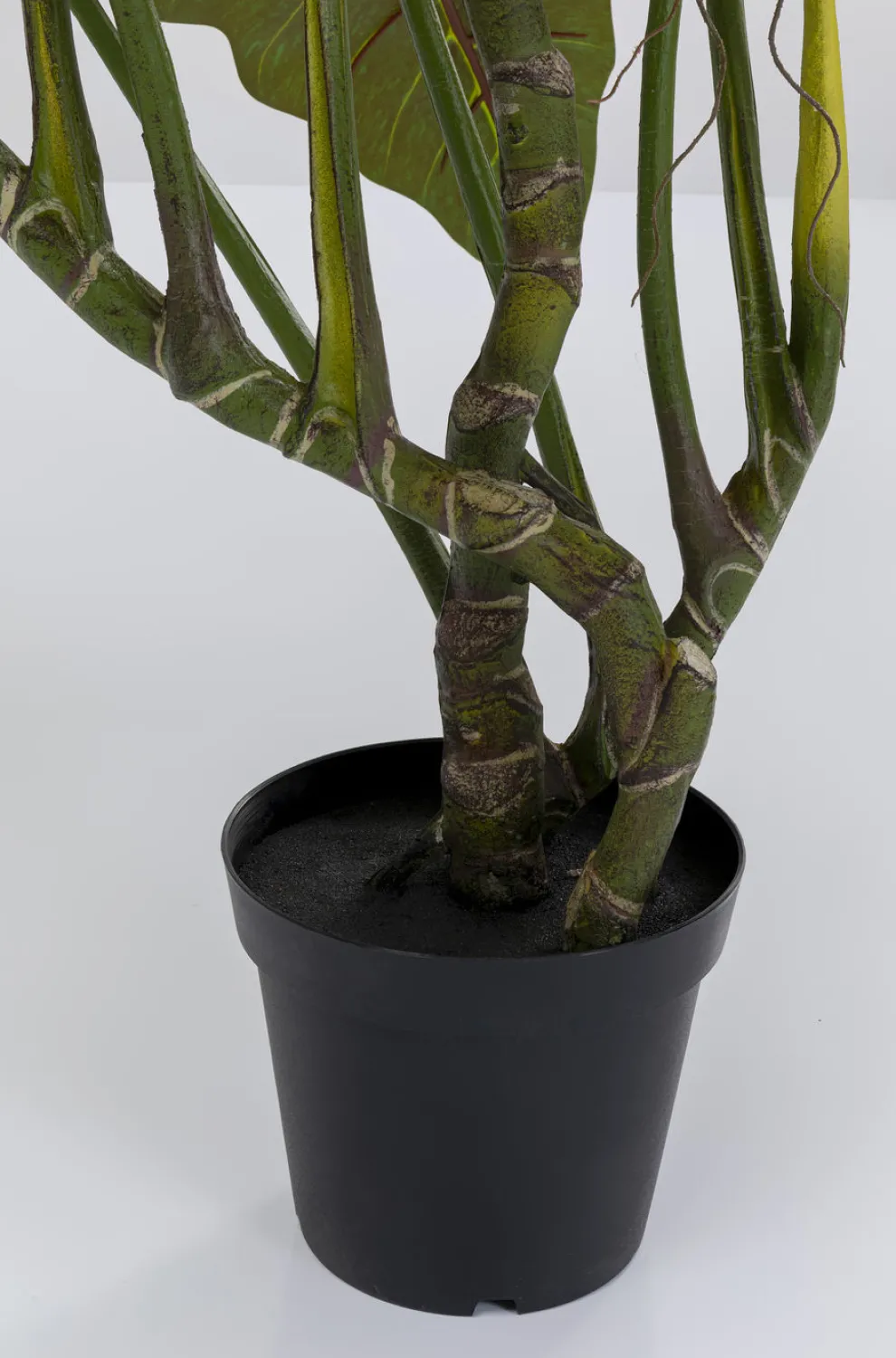 Kunstplant Taro 180cm