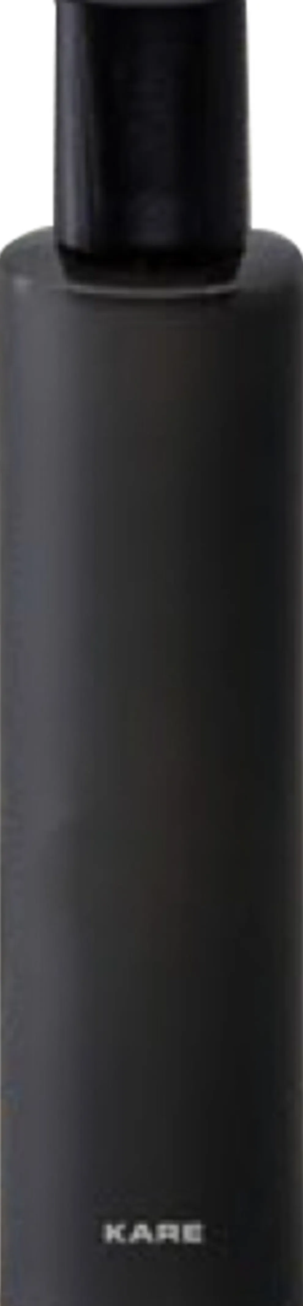 Roomspray Black & Wild Black 100ml