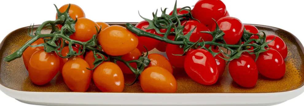 Schaal Colorino 30x26cm