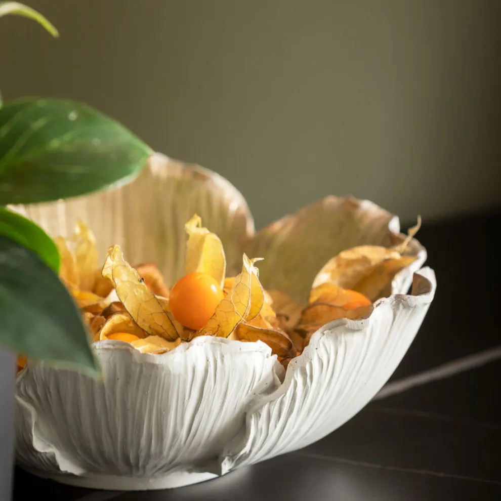 Schaal Flower Bloom Creme Goud Ø20