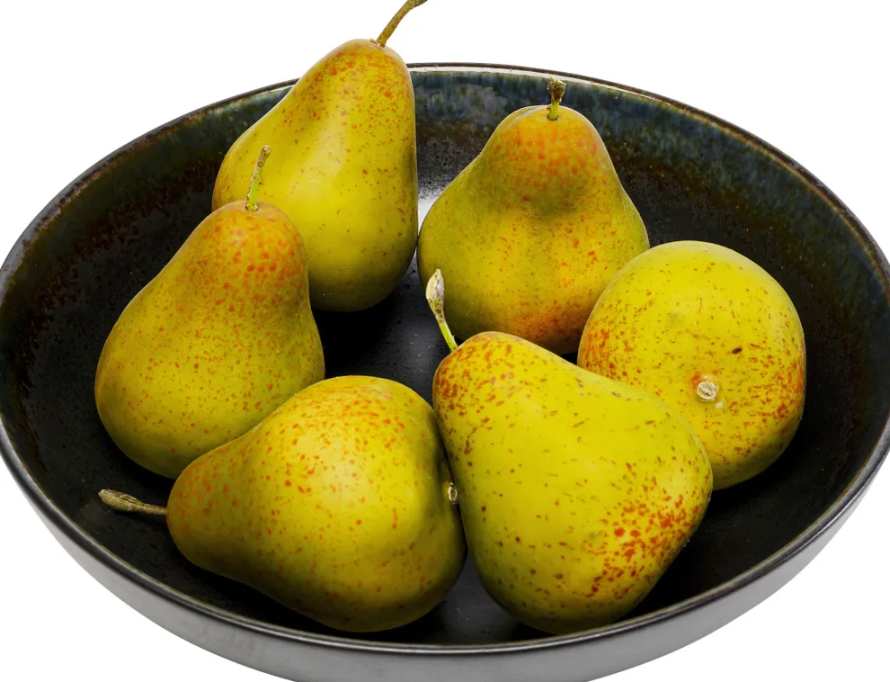 Schaal Kassandra 23cm