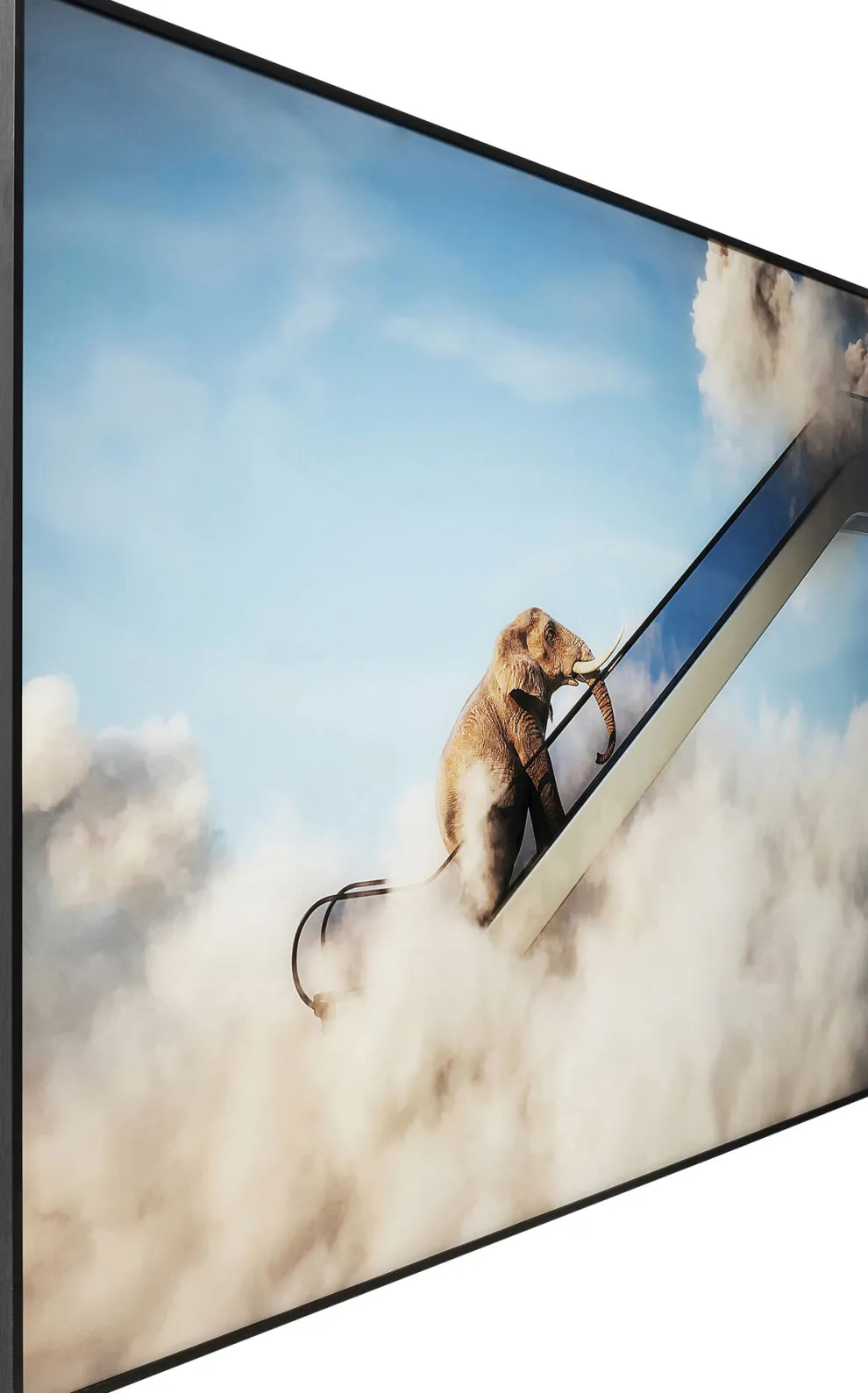 Schilderij Elephant In The Sky 150x100cm