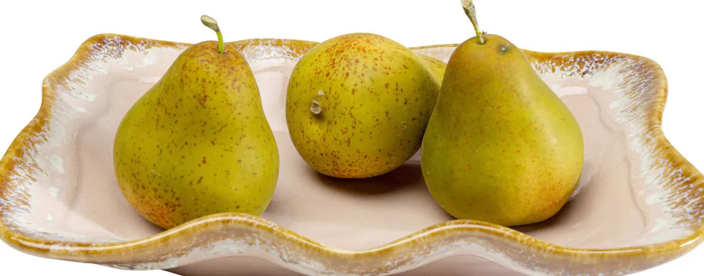 Serveerschaal Nala Rose 17x26cm