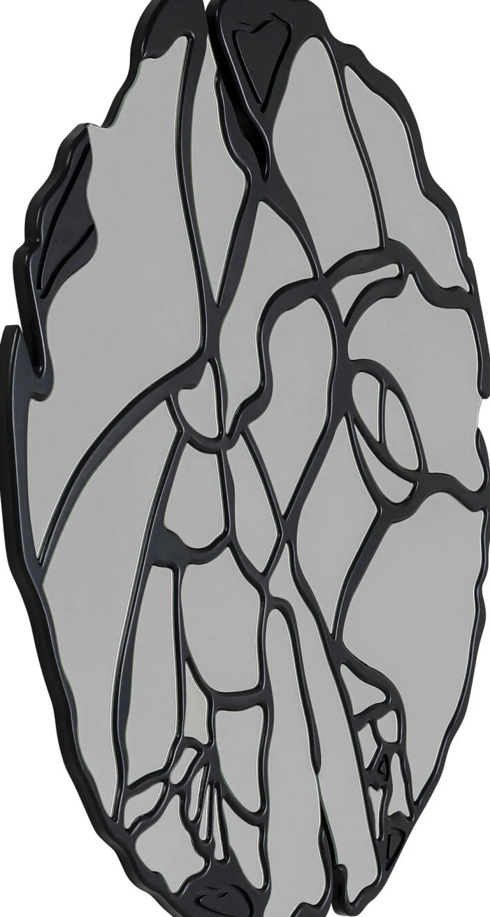 Spiegel Pieces Mat Zwart Ø100cm