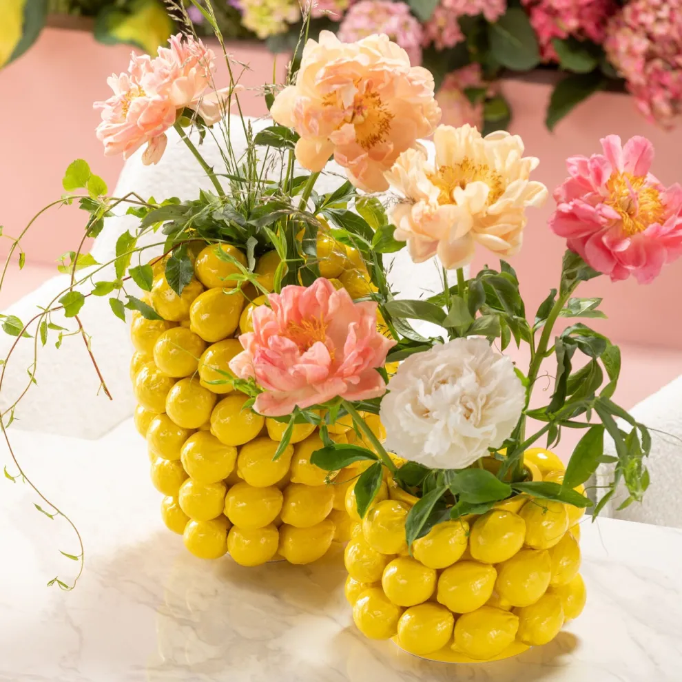 Vaas Lemon Juice 19cm