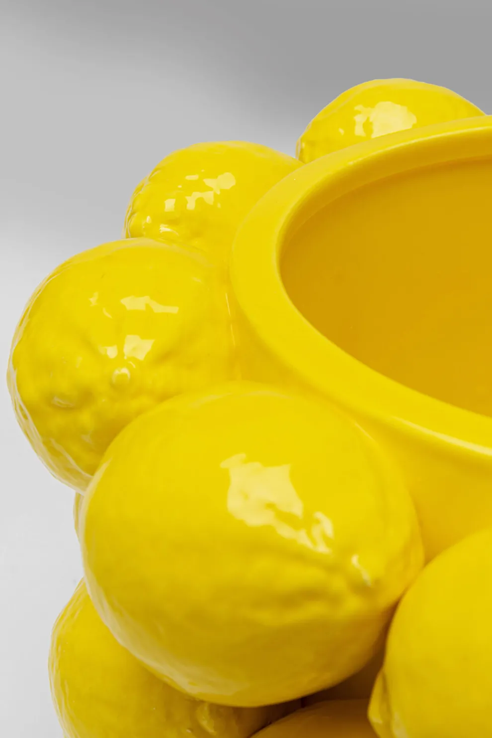 Vaas Lemon Juice 19cm