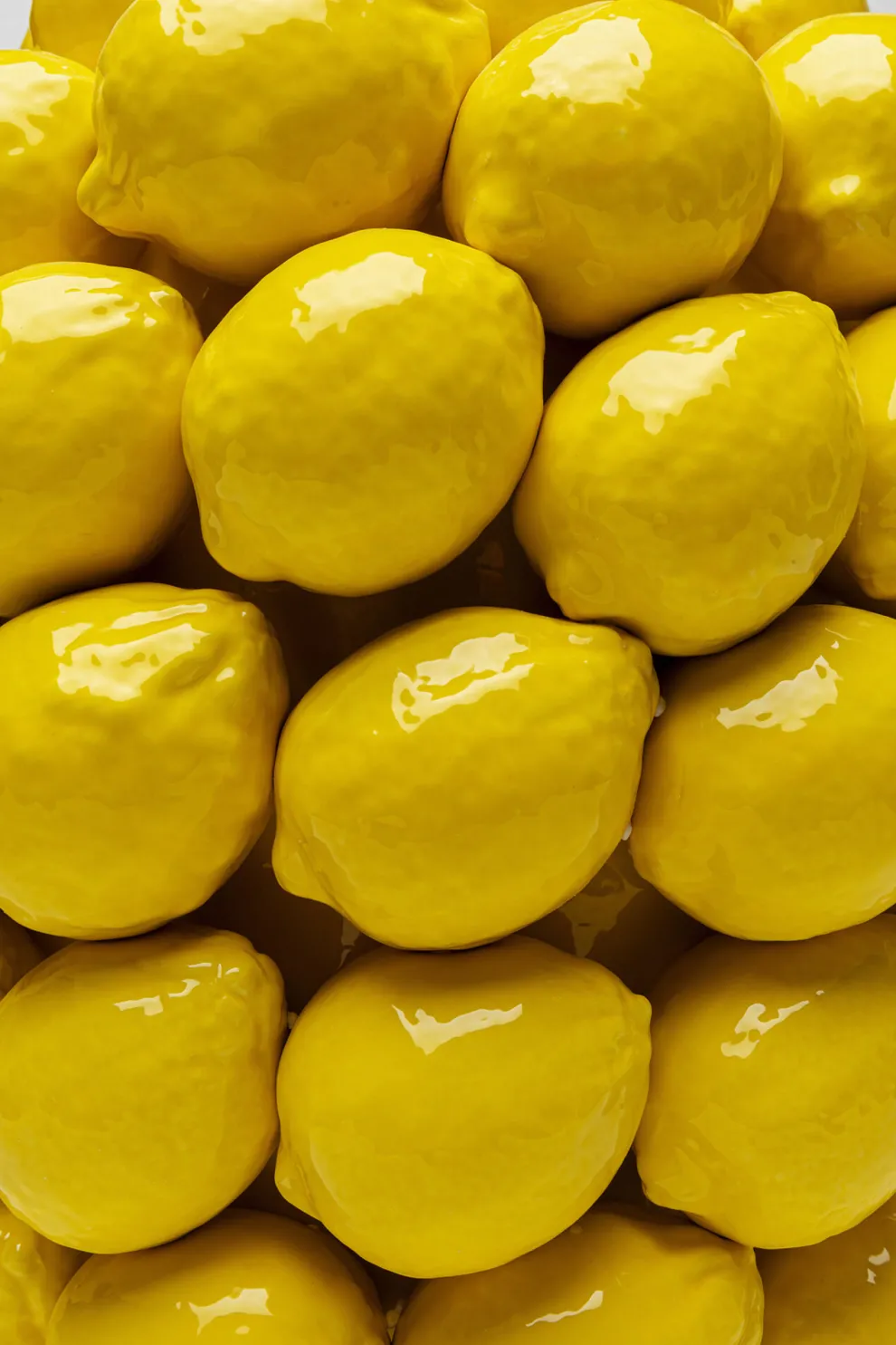 Vaas Lemon Juice 40cm