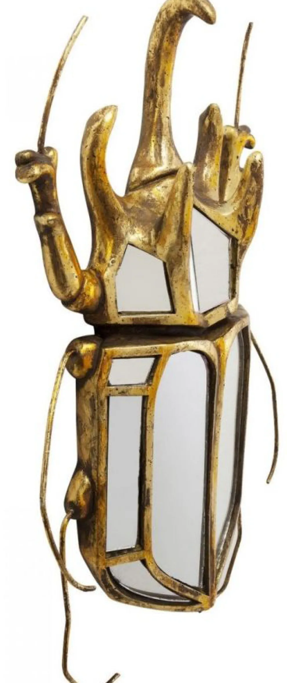 Wanddecoratie Beetle Spiegel