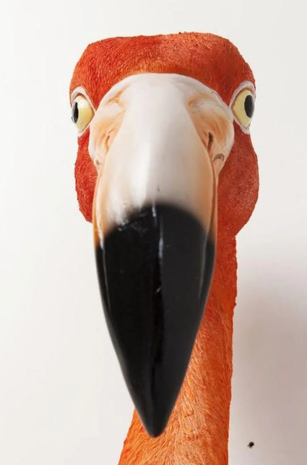 Wanddecoratie Flamingo Road 72cm