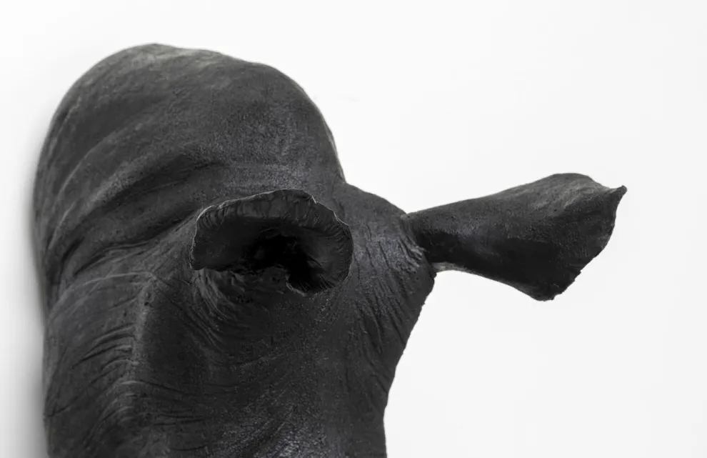 Wanddecoratie Head Antique Zwart