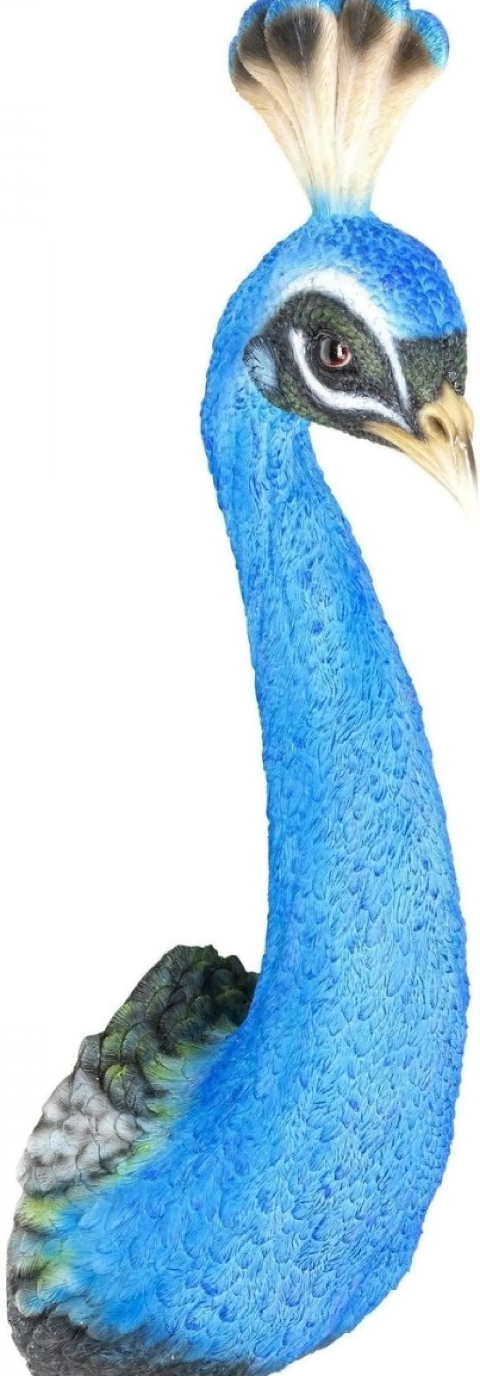 Wanddecoratie Peacock