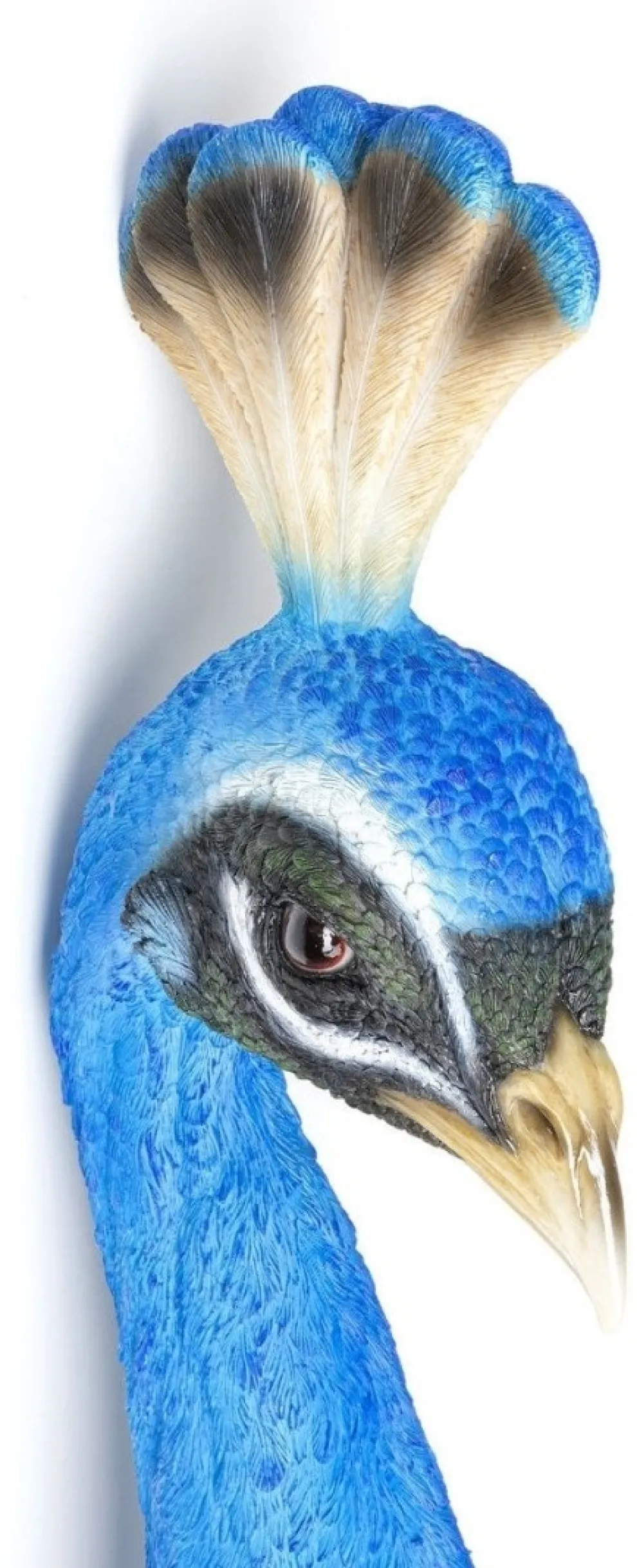Wanddecoratie Peacock