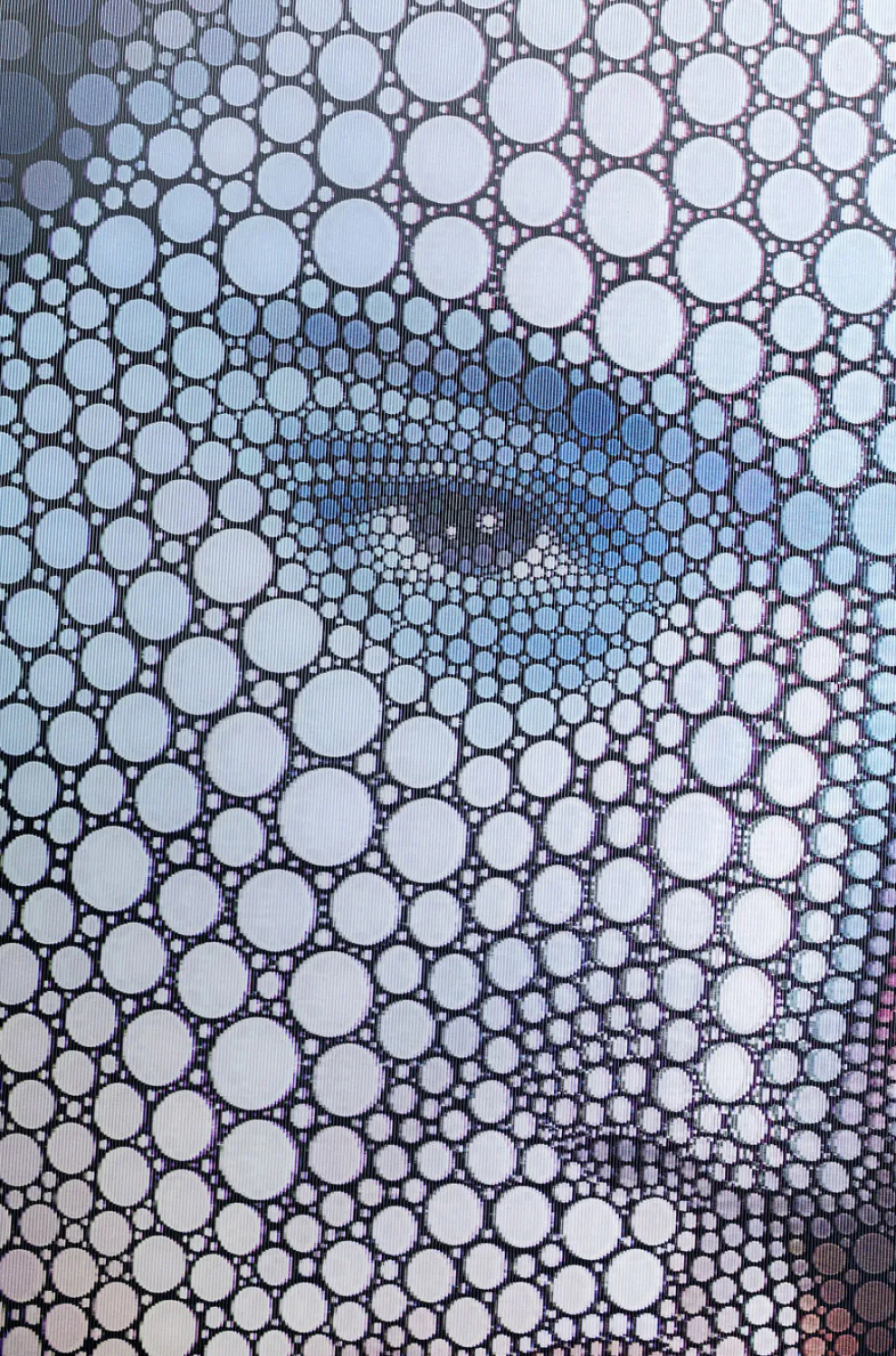 Wandfoto 3D King 70x75