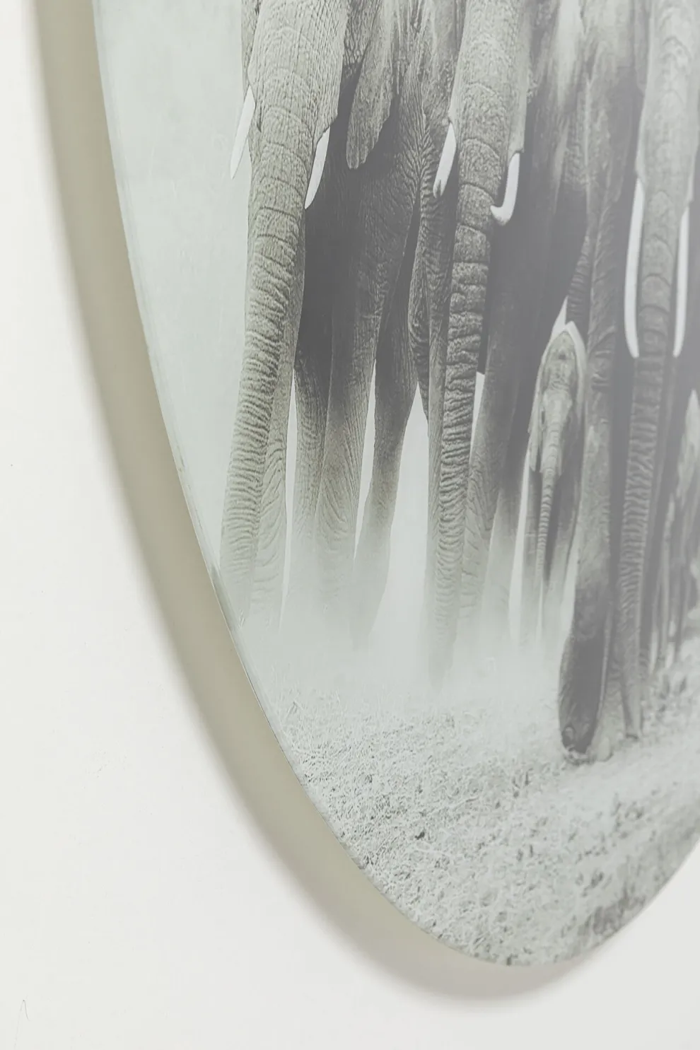 Wandfoto Elephant Walk Ø120cm