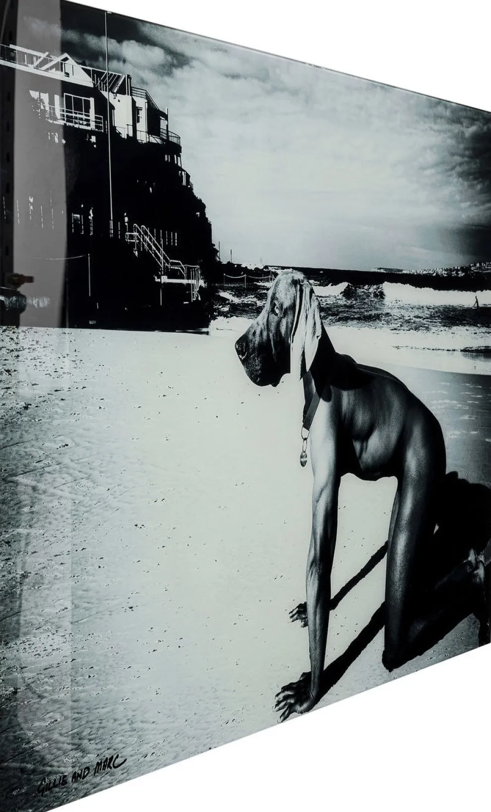 Wandfoto Glass Sexy Dog Beach Back 120cm